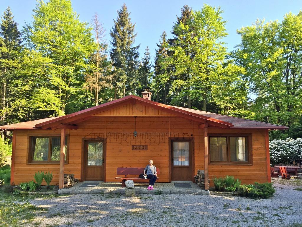 Dom Lidia Villa Szklarska Poręba Eksteriør bilde